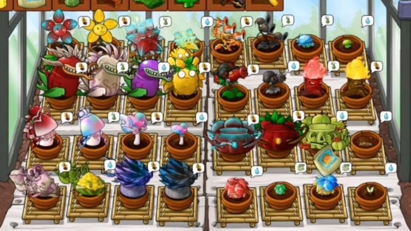 植物大战僵尸有花园的是哪个版本